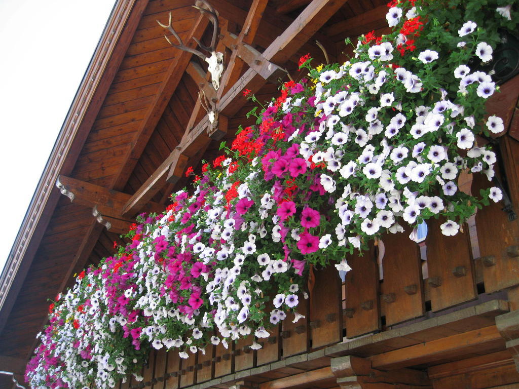 Haus Fernblick Appartement Kappl  Buitenkant foto